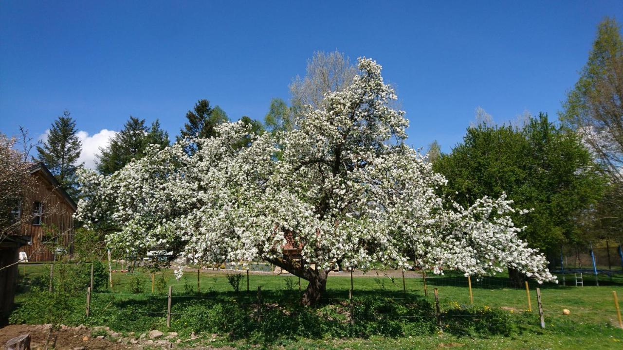 Roulotte Le Temps De Rever Bed & Breakfast Saint-Michel-sur-Meurthe Екстериор снимка