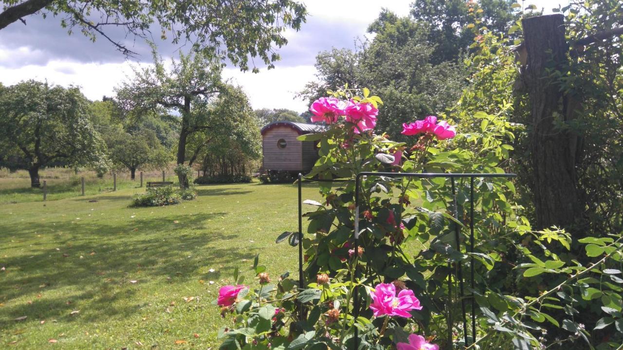 Roulotte Le Temps De Rever Bed & Breakfast Saint-Michel-sur-Meurthe Екстериор снимка