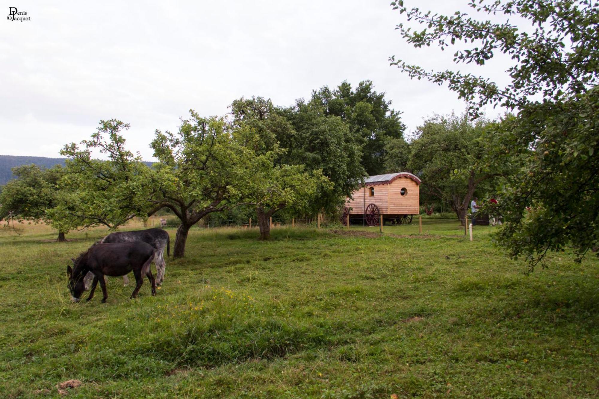 Roulotte Le Temps De Rever Bed & Breakfast Saint-Michel-sur-Meurthe Екстериор снимка